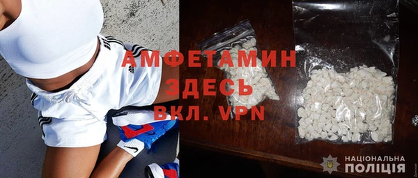мет Алексин