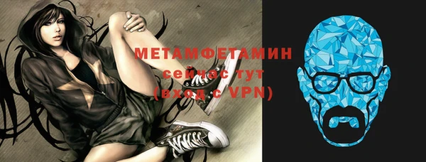 мет Алексин